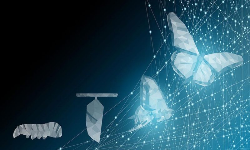 4-steps-to-digitally-transform-your-business-df